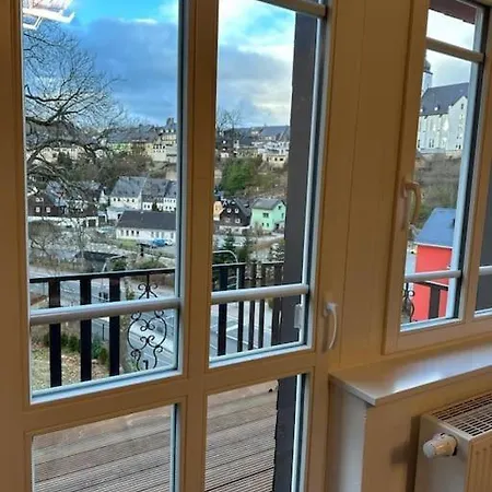 Apartament Schlossblick-schwarzenberg